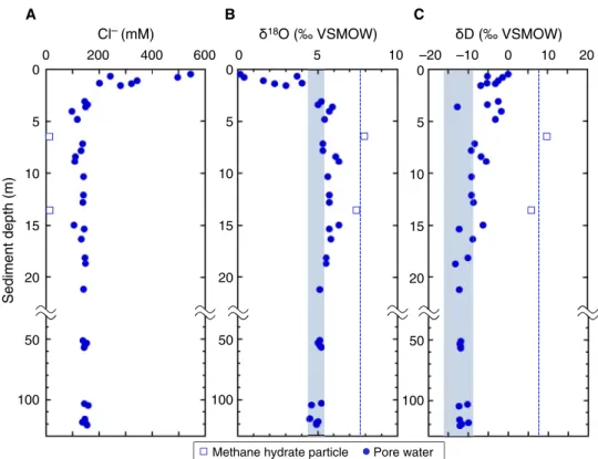 Fig. 2. Chloride concentration and stable isotopic compositions of pore water in sediments of KMV#5