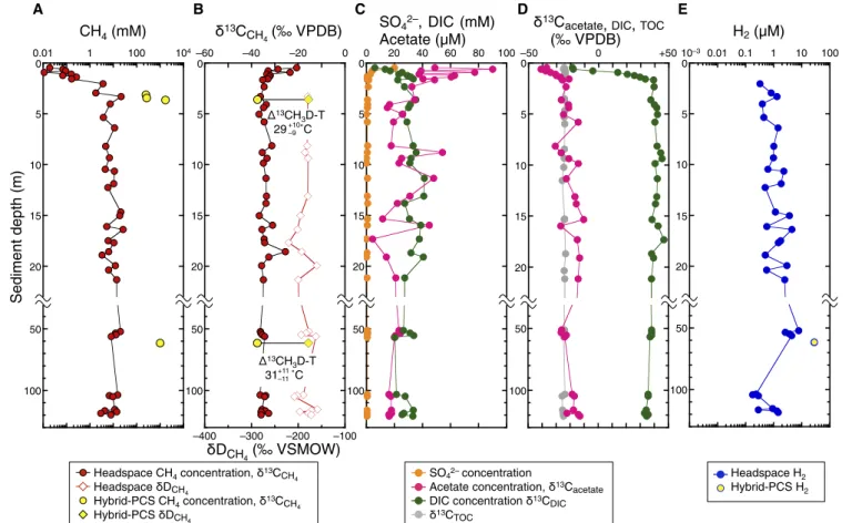 Fig. 3. Depth profiles of biogeochemical parameters in sediments of KMV#5. (A) Vertical profiles of CH 4 concentrations