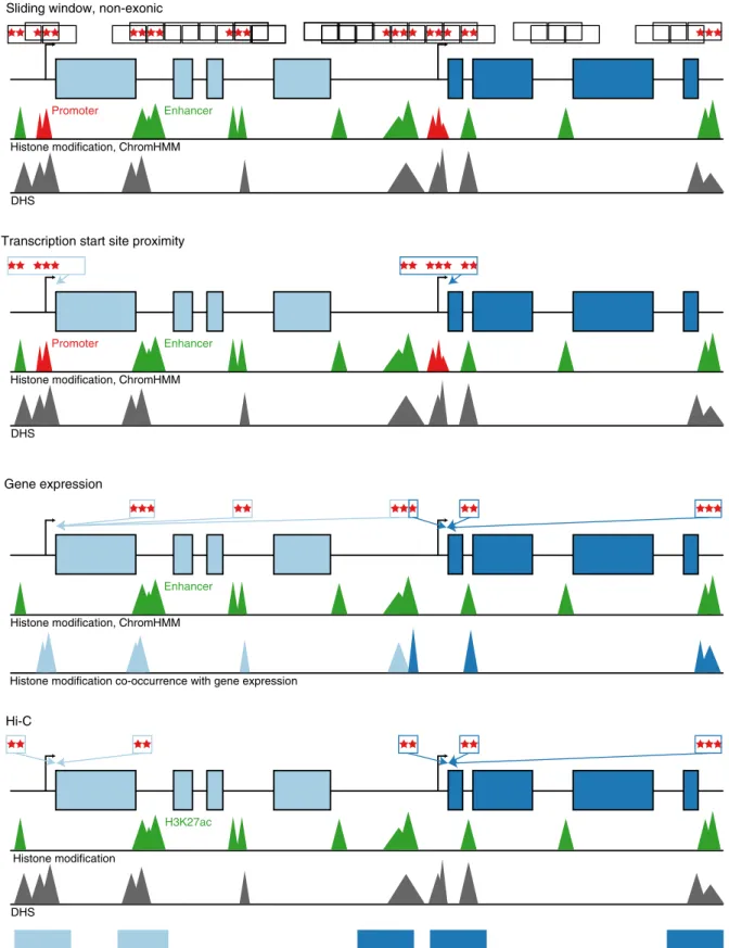 Fig. 3 Schematic of non-coding rare variant analyses. Four grouping schematics of rare non-coding variants (MAF <1%)