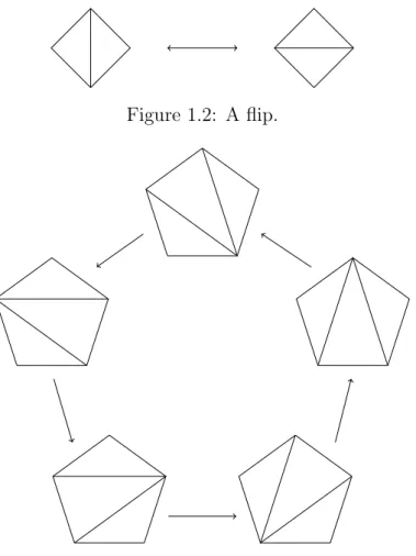 Figure 1.2: A flip.