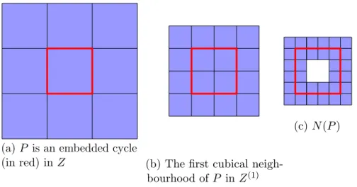 Figure 4.3: P is a deformation retract of its regular neighbourhood subdivision of the vertex link.