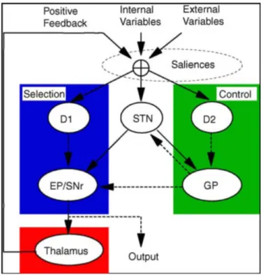 Figure 2.8 – Mod` ele GPR — Illustration d’un des canaux des ganglions de la base selon le mod`ele GPR