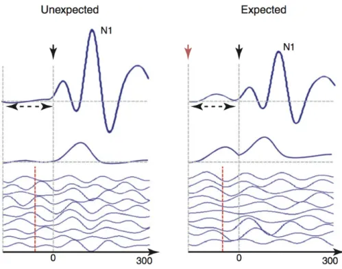 Figure 2.17 – Pr´ edictibilit´ e — Comparaison de la r´eponse neuronale au niveau du cortex temporal ` a des stimuli sonores