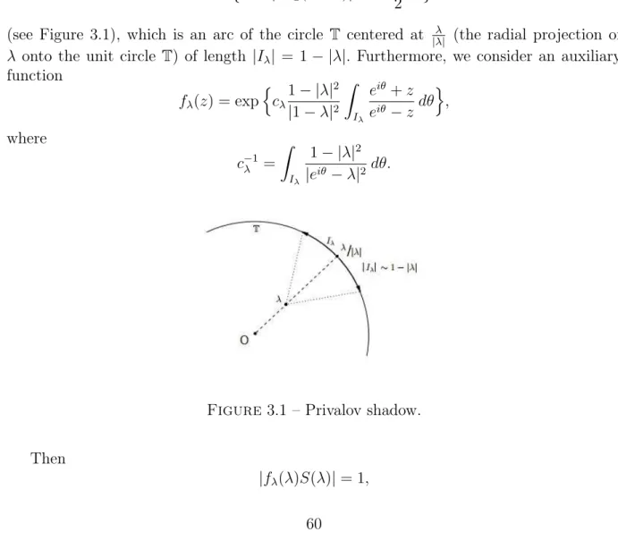 Figure 3.1 – Privalov shadow.