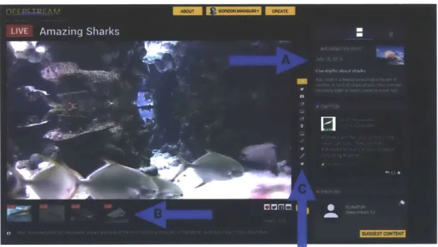 Figure  8  highlights  some  of the  key elements  of the viewing  experience.  The functionality of these elements  is  discussed below.