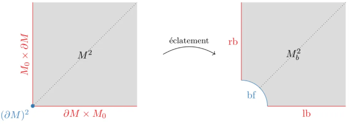Figure 3.4. : L’espace éclaté M b 2 , obtenu en remplaçant ( ∂M ) 2 par ( ∂M ) 2 × R ∗ + 