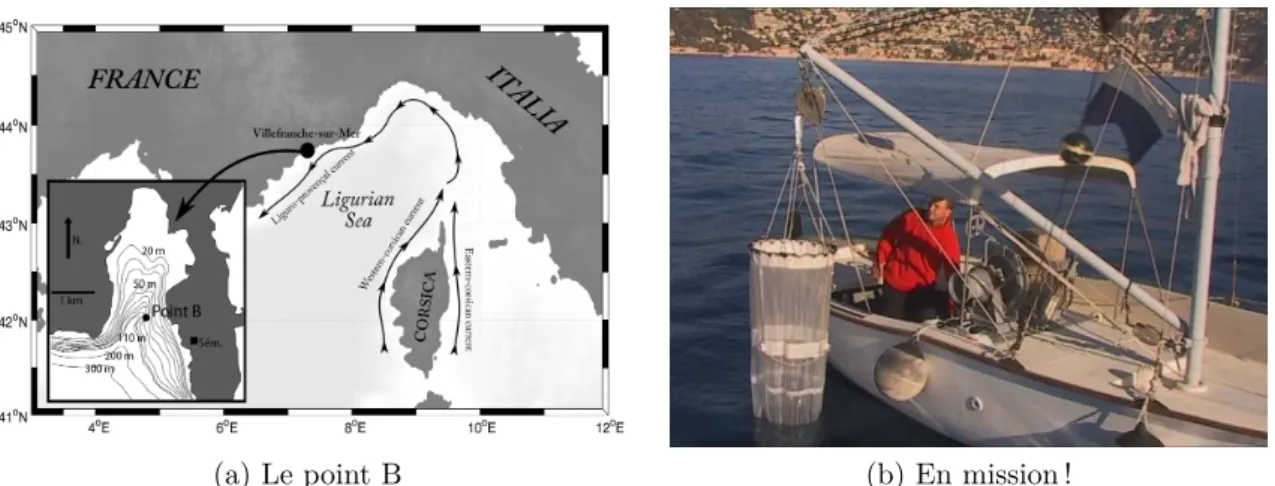 Fig. 2.2: Localisation du point B où a lieu les prélèvements.