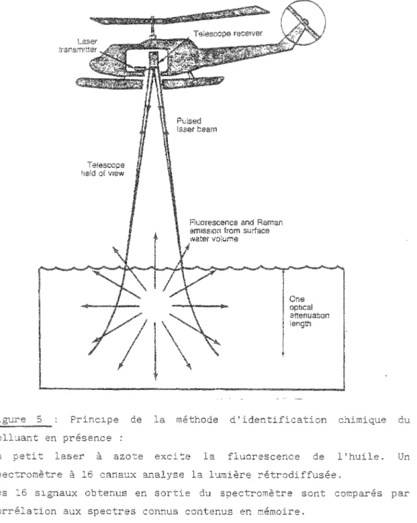 Figure  5  :  Principe  de  la  méthode  d'identification  chimique  du  polluant en présence : 