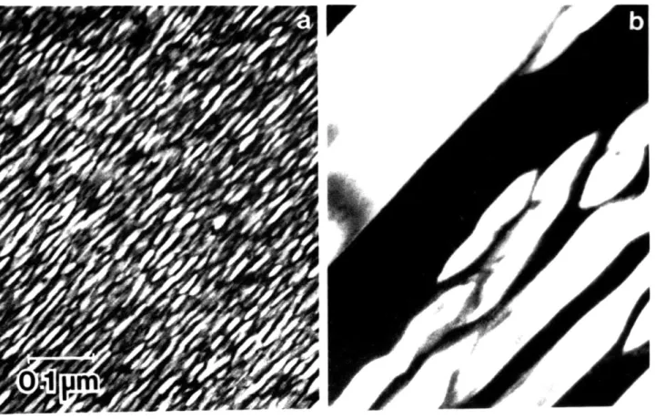 Figure  4.4. Microstructure  of  a  mixture  of  FeS  and room  temperature  (b)  at  123  K.