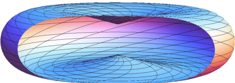 Figure 1.6: A picture of the sub-Riemannian sphere defined by d 0 = 1.