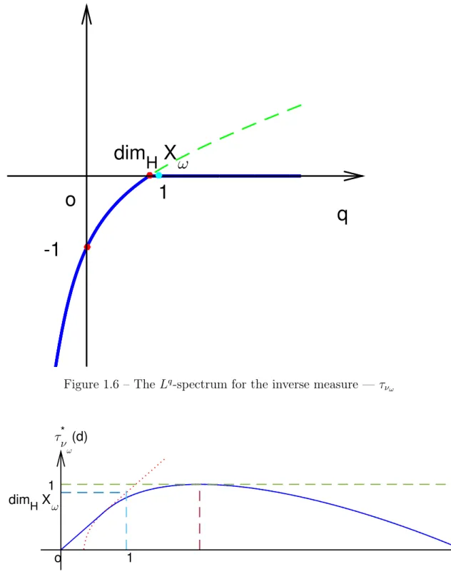 Figure 1.6 – The L q -spectrum for the inverse measure — τ ν ω
