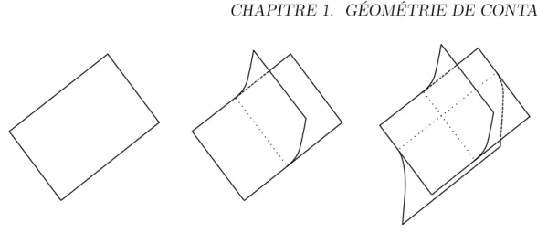 Figure 1.20 – Modèles locaux de surface branchée