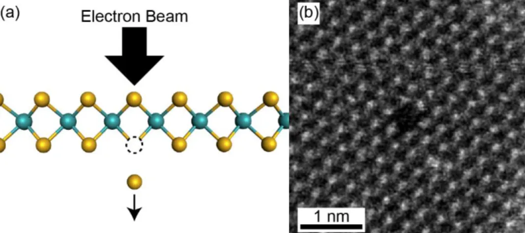 Figure 2-20. (a) Schematic of S ejection from electron beam energy transfer. (b) STEM image  of defective TMD lattice following electron beam-induced atomic ejection