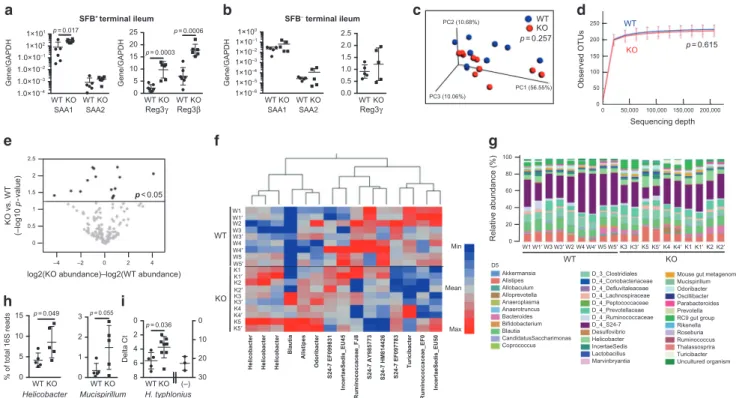 Fig. 5 Augmented SAA and antimicrobial peptide expression in the terminal ileum of IL-21R-de ﬁ cient mice and microbiome analysis of stool samples