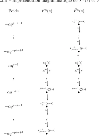 Figure I.2.B – Représentation diagrammatique de V α (s) et ¯ V α (s).