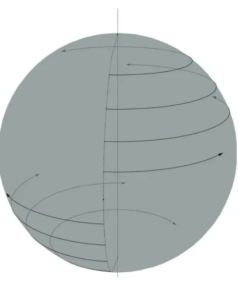 Figure 2.1: projection of the orbits of h 0 on the first (or second) sphere. The length of the arrows is proportional to the speed of the corresponding motion