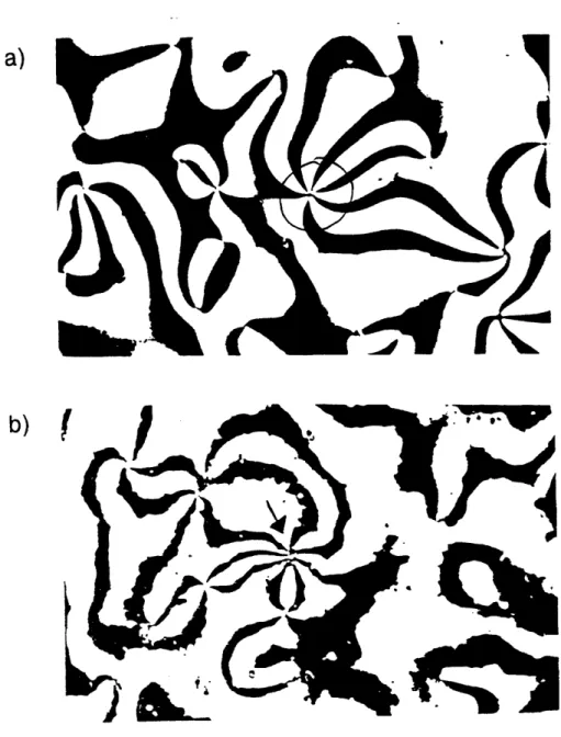 Figure 4.3:  a)  An  example  of an  s=+3/2  defect from  reference  [1].  The  circled region actually appears  to be  an  s=+l  and an  s=+ 1/2  defect connected  by  a short line  defect