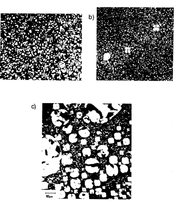 Figure 3.1:  a)  A fine  schlieren texture  observed  in the polymer B-ET after cooling below the isotropic  to nematic  transition  temperature  [7]