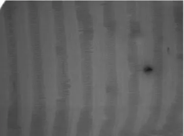 Fig. 2  FE-SEM image to show the measurement of the colloid  size. It can be seen that the PS nanospheres are uniform in shape  and sizes
