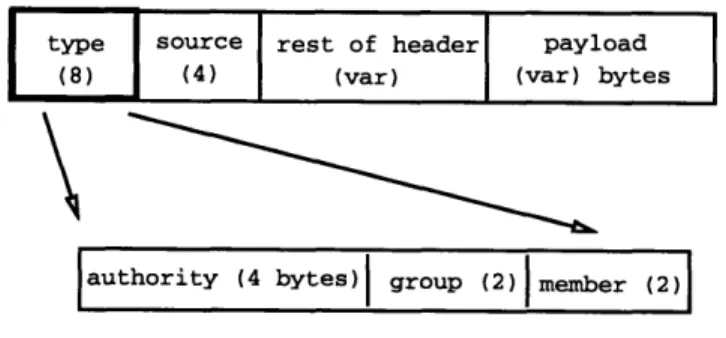 Figure 3-1:  Capsule  Format  [23]