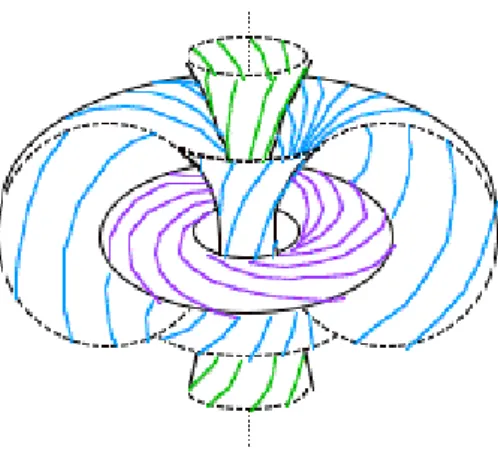 Figure 1.3 – Fibration de Hopf de S 3 repr´esent´ee par projection dans R 3