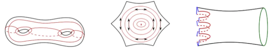 Figure 2.1 – Collection de géodésiques remplissantes avec quatre hexagones dans son complémentaire ; feuilletage singulier par des convexes d’un  hexa-gone et le relevé d’une orientation de ce feuilletage dans T 1 Σ 2 .