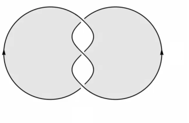 Figure 1.9 – A Seifert surface for the trefoil knot.