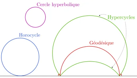 Figure 1  Les quatre courbes élémentaires de la géométrie hyperbolique
