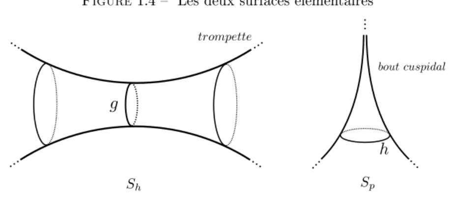 Figure 1.4  Les deux surfaces élémentaires