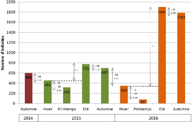 Figure  18  :  Variations  intra-annuelles  de  l'effectif  de  perruches  à  collier  observés  au  dortoir  sur  la  période  2014-2016