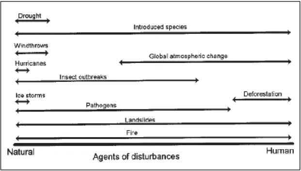 Fig.  3.  Agents  naturels  et  anthropiques  de  la  perturbation  des  forêts  (Dale  et  al.,  2001)