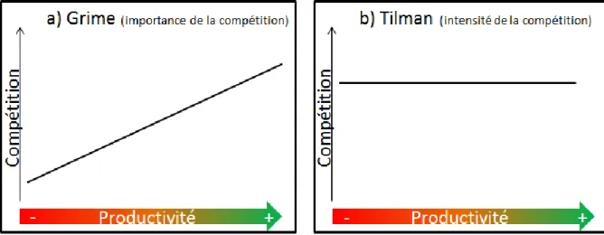 Fig. 9. Illustration des visions de Grime (1977) et Tilman (1987) concernant l’évolution de la  compétition en fonction de la productivité du milieu