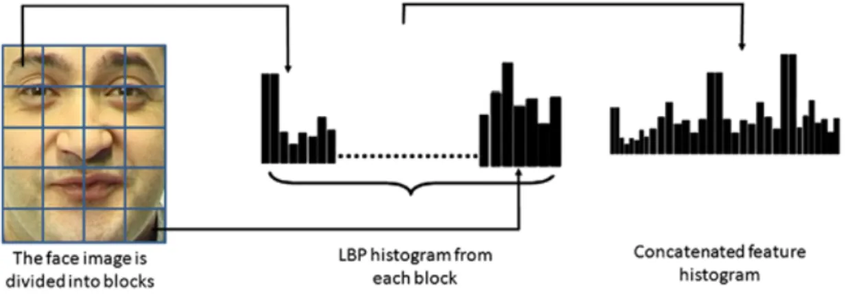 Figure 6 : Extraction de vecteur de l’histogramme de LBP pour une image. (Source de l’image :  http://what-when-how.com/face-recognition/) 