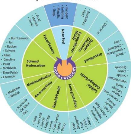 Figure 2.2 –Wastewater odour wheel. 