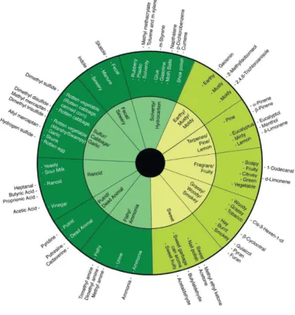 Figure 2.3 – Composting odour wheel. 