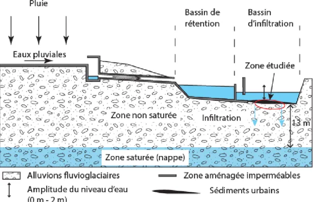 Figure 4 : Schéma de principe du fonctionnement du site et localisation de la zone  étudiée  (Winiarski, 2014)