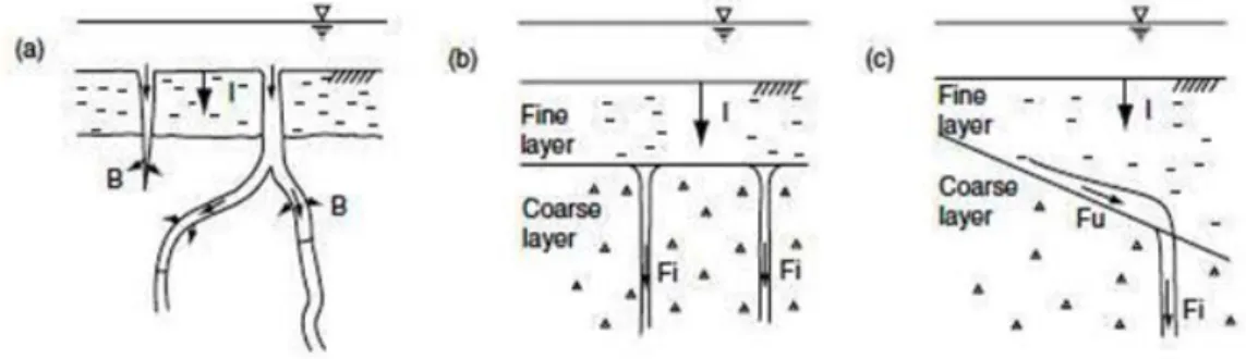 Figure 15 : Trois types d'écoulement préférentiel : a) bypassing flow b) fingering  flow c) funneled flow  (Miyazaki, 2006)