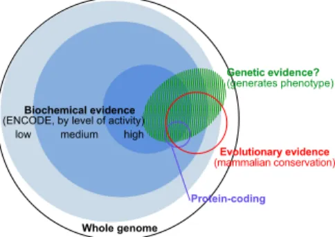 Fig. 1. The complementary nature of evolutionary, bio- bio-chemical, and genetic evidence