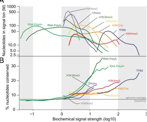 Fig. 3. Relationship between ENCODE signals and conservation. Signal strength of ENCODE functional annotations were defined as follows: log10 of signal intensity for DNase and TFBS, log10 of RPKM for RNA, and log10 of − log10 P value for histone modificati
