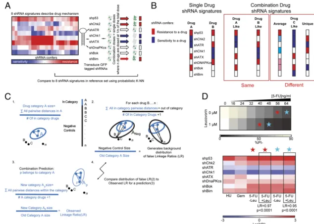 Fig. 1. Strategy to de ﬁ ne combination mechanisms of drug action. (A) Outline of the signature-based methodology