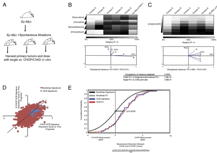 Fig. 6. Spontaneous genetic variation in mouse models of lymphoma and clinical cohorts of microarray measurements from CHOP- and R-CHOP – treated patients is averaged