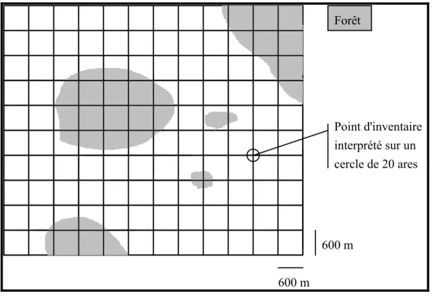 Figure  1.1  -  Schéma  de  la  grille  de  points  servant  à  l'échantillonnage  systématique  des  formations  boisées  de  production  par  interprétation  de  photos aériennes 