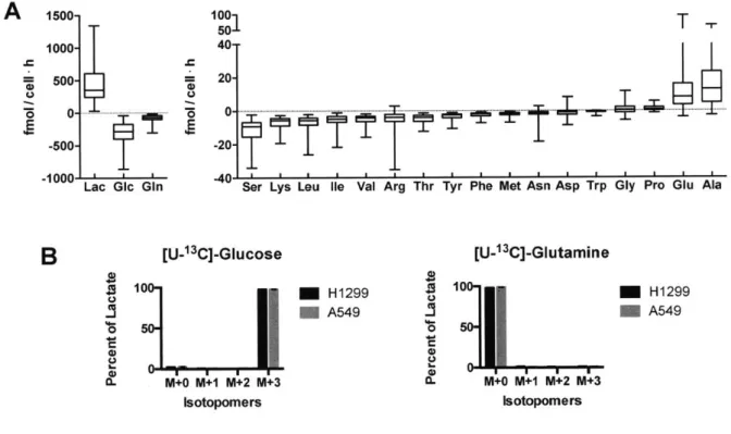 Figure 2:  Rapidly  proliferating  cells  have  common  metabolic  features,  consuming  large  amounts  of glucose  and glutamine  and  converting  most glucose to lactate.