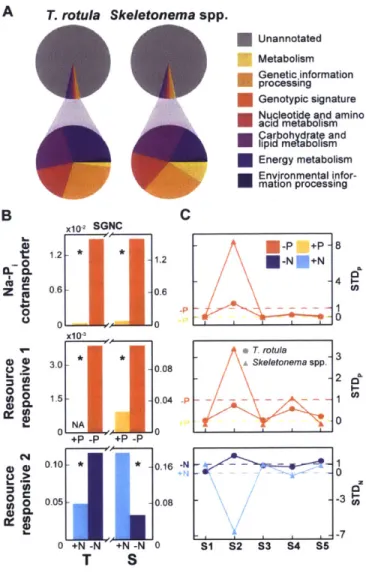 Figure  3-4:  Functional  composition  of  the  resource-responsive  (RR)  gene  sets  for  T