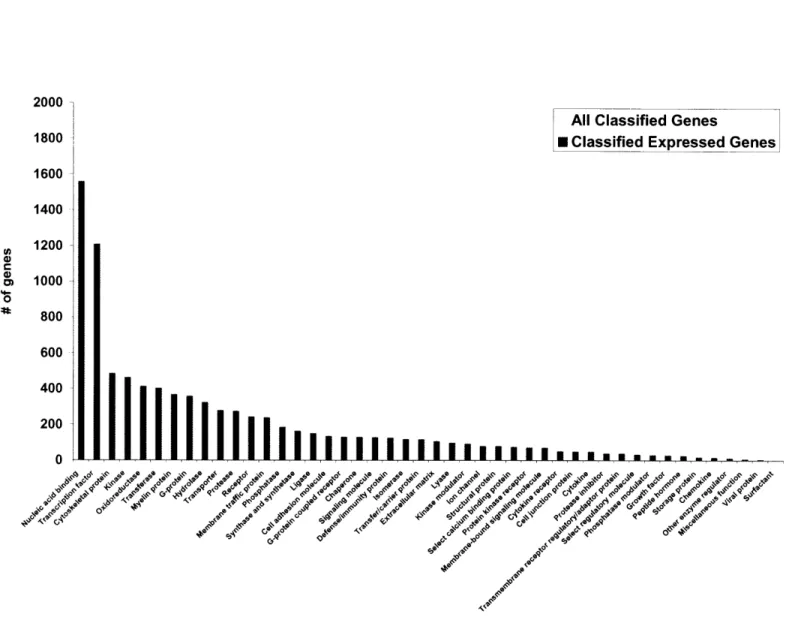 Fig. 2.4.  Histogram illustrating the total number  of genes on the array (gray) and number  of expressed genes (red) associated with each simplified Panther category.