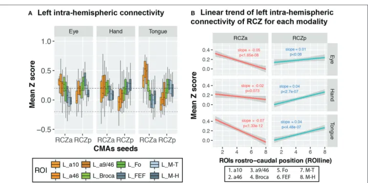 FIGURE 5 | CMA motor representations display linear rostro-caudal organization in connectivity with the lateral frontal cortex ROIs
