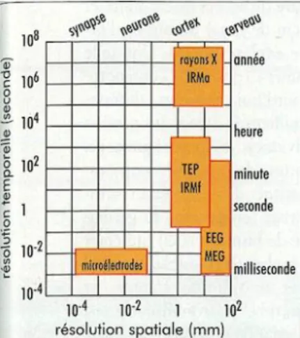 Figure 22 : État de la recherche sur les ICM en 2006. À gauche, nombre total d’articles sur les ICM (en gris) et  nombre  d’articles  concernant  une  ICM  chez  des  patients  (en  noir)  publiés  dans  des  revues  internationales  jusqu’en 2006