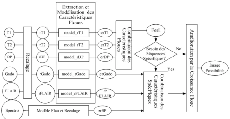 Fig. 2.9 – Extension I de l’architecture de fusion montr´ ee en Fig. 2.8. Cette extension permet d’acc´ el´ erer le processus de traitement en utilisant seulement les trois images T1, T2 et DP dans le cas o` u elles fournissent suﬃsamment d’informations po