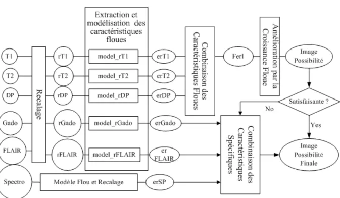 Fig. 2.10 – Extension II du sch´ ema de fusion pr´ esent´ e en Fig. 2.8. Cette extension permet d’acc´ el´ erer le processus de traitement en utilisant seulement les trois images T1, T2 et DP dans le cas o` u elles fournissent suﬃsamment d’informations pou