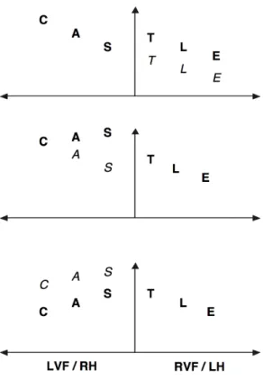 Figure 2.8 – Schéma de l’identification des lettres (C. Whitney, 2001). L’axe horizontal représente la position rétinotopique des lettres, l’axe vertical représente le niveau d’activation.